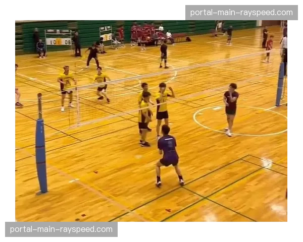 法国男排二传手布里扎的深度访谈：论现代排球中二传角色的演变